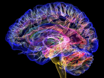 欧美综合激情20p大脑植入物有助于严重头部损伤恢复